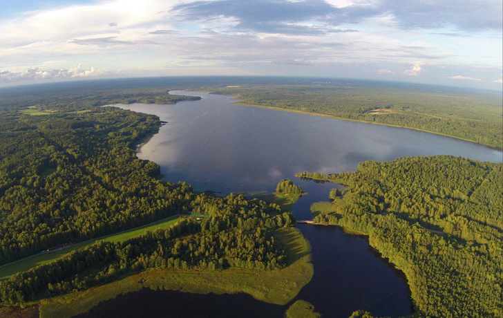 озеро Александровское Мамонтовка
