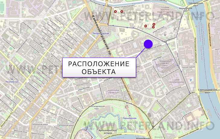 расположение здания на ул.Большая Монетная Петроградский район