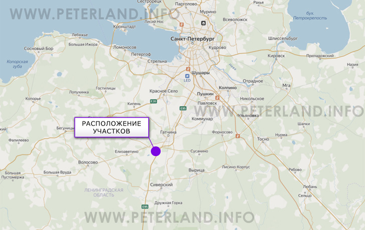 земля в д.Новые Черницы Большеколпанское СП на карте