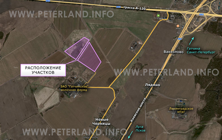 продажа полей у дер.Новые Черницы ЗАО Гатчинское