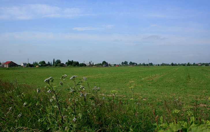 фото участков Новые Черницы