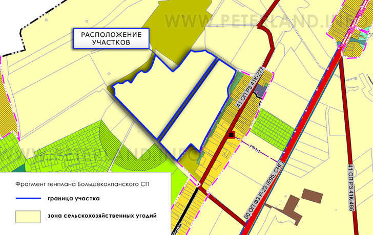 участок на Генплане Большеколпанского СП