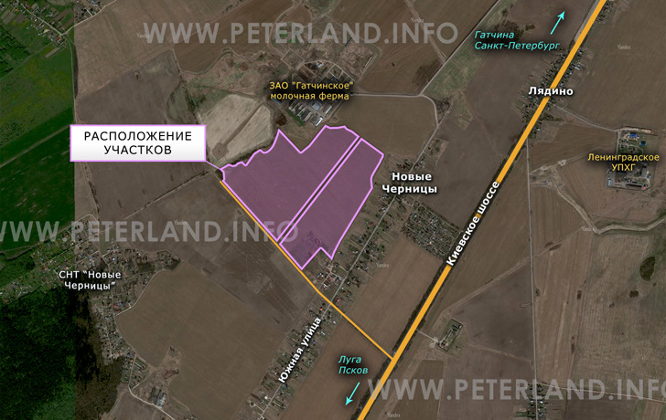 продажа земли около Новые Черницы ЗАО Гатчинское