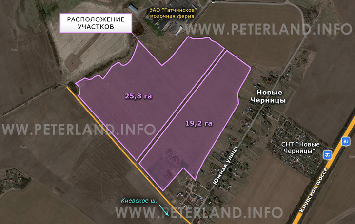 участок земли у дер.Новые Черницы Гатчинский район