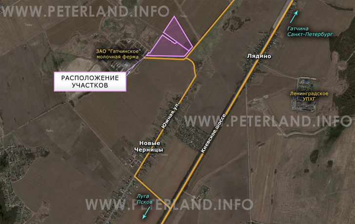 продажа земли около Новые Черницы и ЗАО Гатчинское
