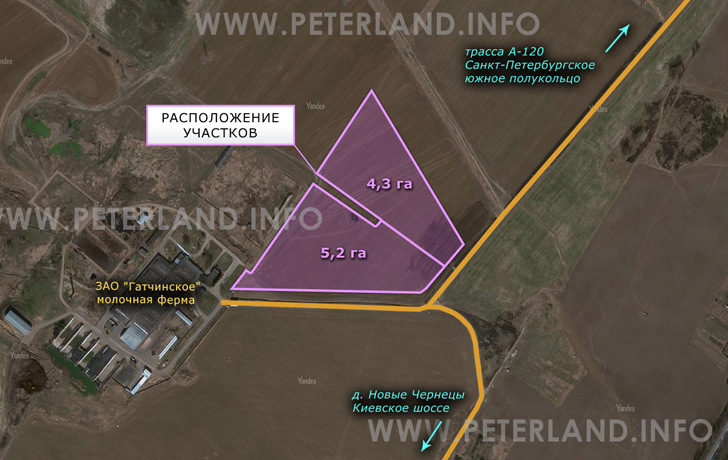участки земли около животноводческого комплекса ЗАО Гатчинское