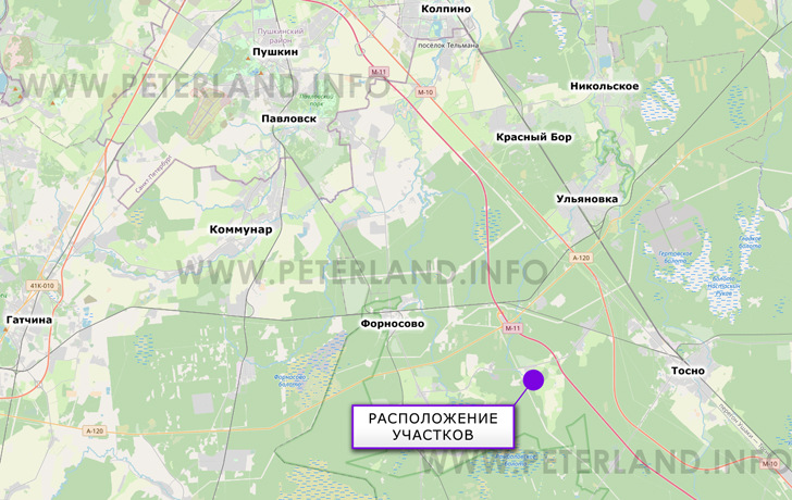 расположение участка около Еглизи Тосненский район