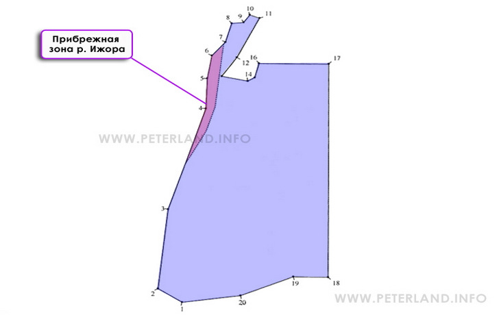 форма участка на берегу реки Ижоры