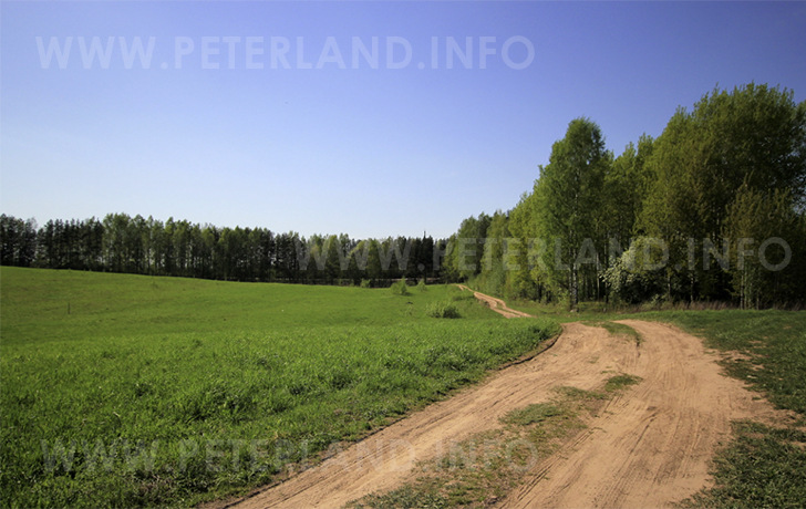 фото участка в массиве Красная Горка