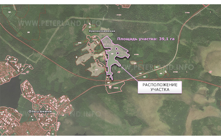 продажа земли в Краснознаменке Выборгский район ЛО