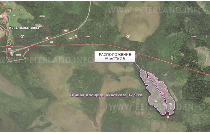 продажа земли в Краснознаменке Выборгский район ЛО