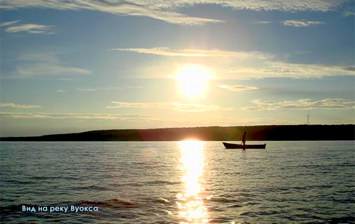 фото участка в Лосево на берегу реки Вуокса