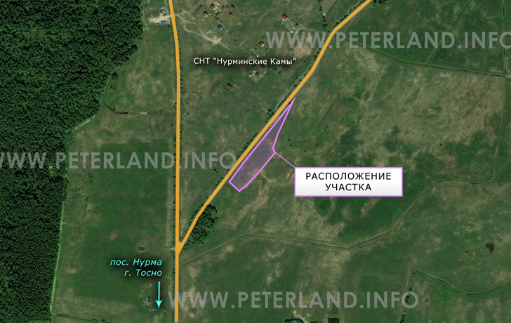 продажа земли под дачную застройку около Тосно