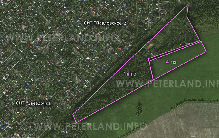 продажа земли в г.Павловск под поселок в Грачевке