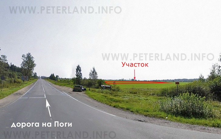 дорога около участка в Поги