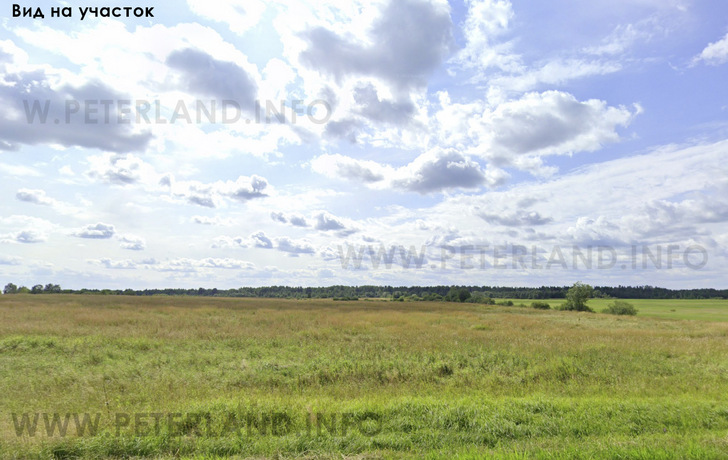 фото участка