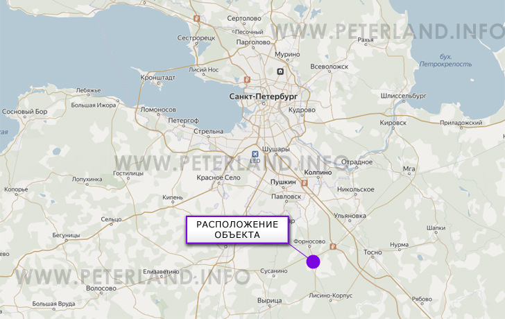 земельные участки около дер.Поги Тосненского района на карте