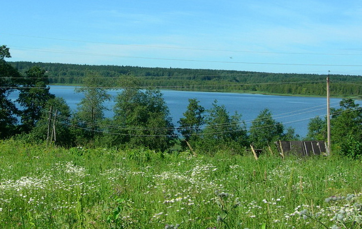 фото земля Поляны