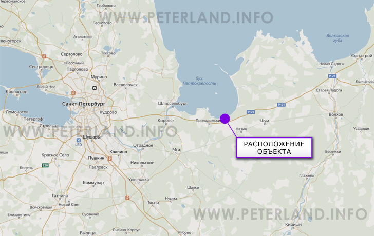 земельные участки в дер.Нижняя Шальдиха на карте