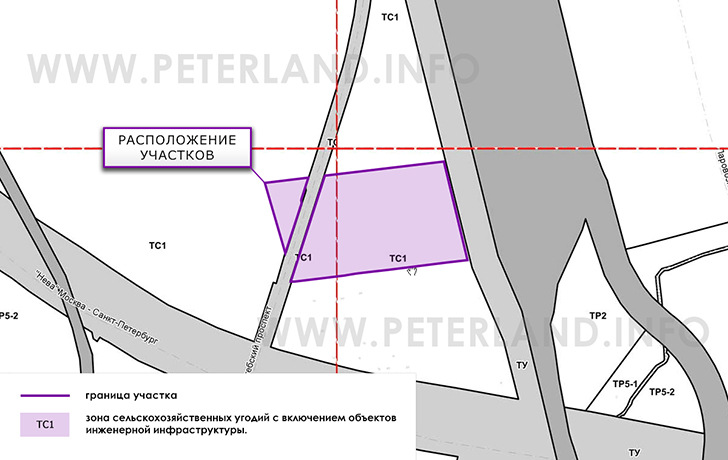 участок на ПЗЗ Пушкинского р-на