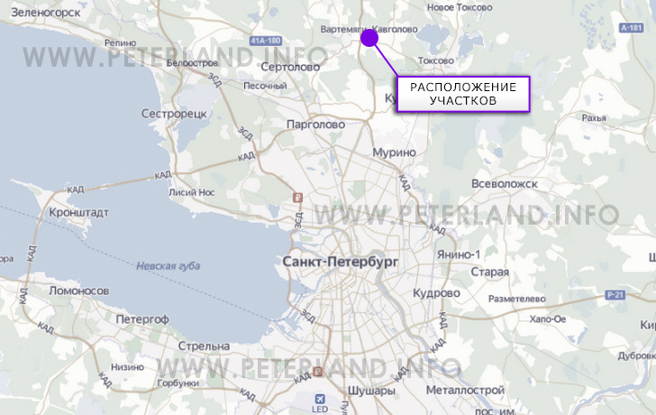 земельные участки в д.Скотное на карте