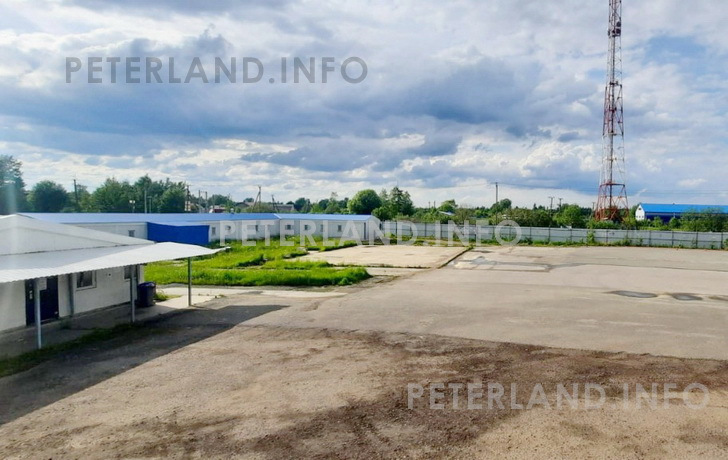 фото площадки под производство