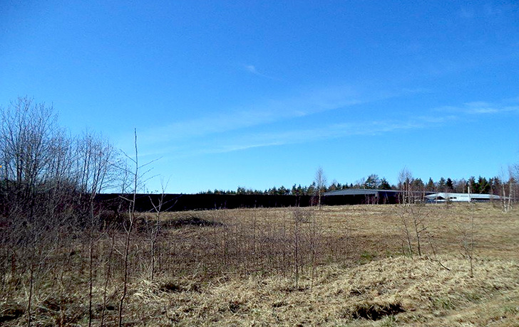 фото участка на первой линии 41 км Выборгское шоссе